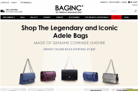 baginc.com